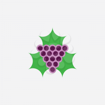 grape and leaf logo icon vector 