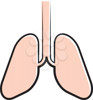 healthy lungs vector icon symbol design 