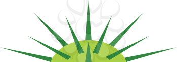 jimson weed datura logo vector 