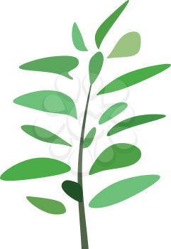 mint plant logo illustration icon