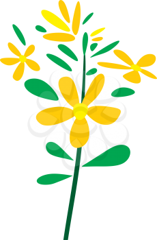 st johns wort herb plant logo vector icon