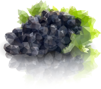 sprig of grapes, triangle design vector illustration.
