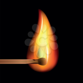 Burning match on a black background vector.
