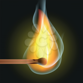 Burning match on a black background vector.
