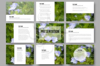 Set of 9 templates for presentation slides. Blue flowers on the grass. Collection of abstract multicolored backgrounds. Natural geometrical patterns. Triangular and hexagonal style vector.