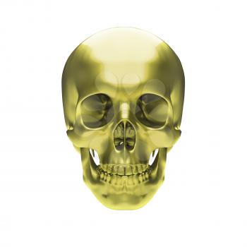 Gold metallic skull on white background