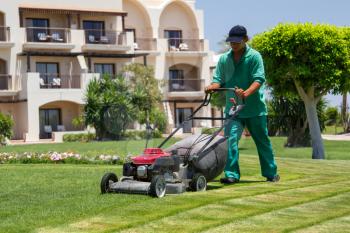Mowing or cutting the long grass with a green lawn mower