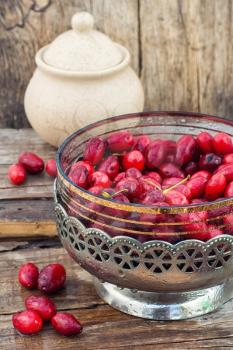 Ripe berry of the dogwood in an old vase on wooden background