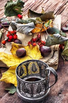 old book on wooden table on background of the tea cup holder  with autumn leaves and Rowan.Photo tinted.Selective focus