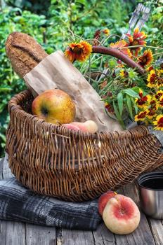 Straw basket with bread loaf,fruit and thermos for picnic on the background lawn .Photo tinted.