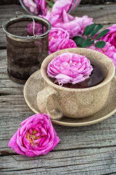 Cup with fresh fragrant herbal decoction of tea rose.The image is tinted