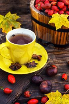 Yellow cup with tea,brewed in the tea with fruits berries of dog-rose on background of leaves and chestnuts