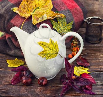 White teapot on background of warm blankets and fallen leaves
