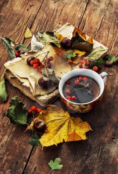 Autumn still life.The composition with the fallen leaves