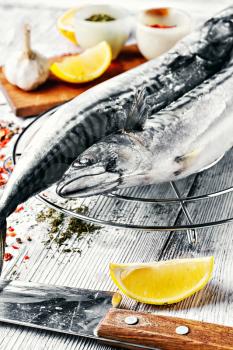 Frozen fresh fish on the background of savoury spices,lemon and garlic