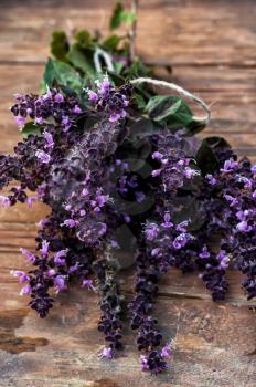 beam cut the blooming lavender with pleasant aroma on a wooden table