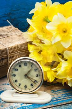 bouquet of cut daffodils and retro clock on wooden background