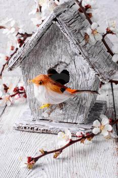 Symbolic bird at the birdhouse in the branches of a blossoming apricot