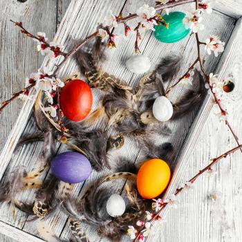 Easter decoration with painted chicken eggs in a wooden box with feathers and blossoming tree branches