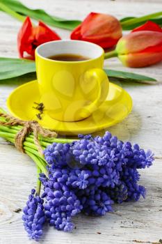 Yellow cup of tea on saucer and bunch of hyacinths