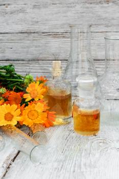 bottle of medicinal tincture of calendula flowers in folk recipe