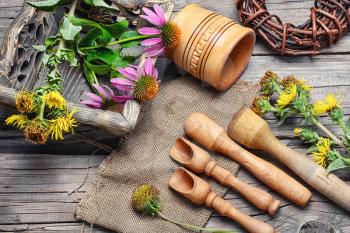 Set medicinal plant from Echinacea,elecampane and Licorice root