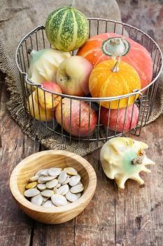 Set of pumpkins with seeds from the autumn harvest