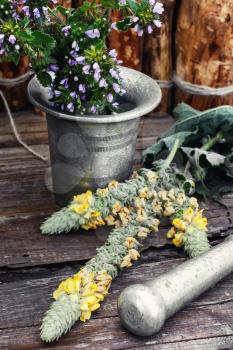Iron mortar with pestle and medicinal plants in rustic style