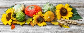 Autumn still life with squash,sunflowers and fallen autumn leaves