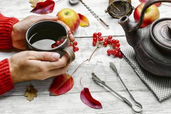 Warm cup of autumn tea with berries in his hands.Still life with kettle,berries and apple