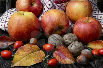 Autumn still life with apples,leaves and nuts