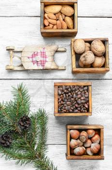 Christmas card with assortments of nuts and decorative sled