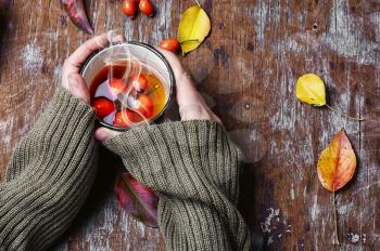 medicinal tea from the berries of the autumn rose in the hands