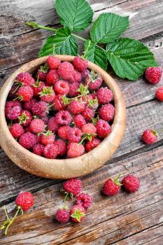 Summer crop of berries ripe raspberries in wooden bowl