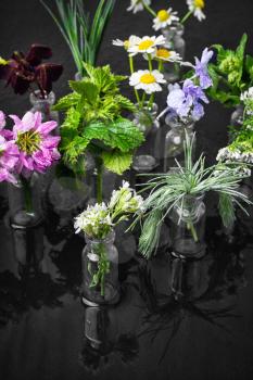 Herbs and blossoms in small glass bottles on dark background