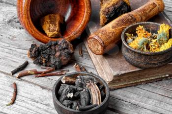 Medicinal herbs of folk medicine comfrey,birch mushroom and calendula