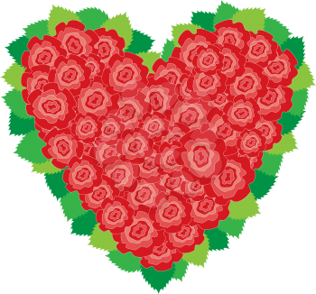 Beautiful red roses heart around leaves on the white background