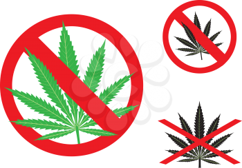 The hemp is forbidden sign on the white background