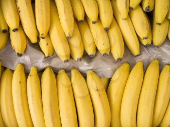 Yellow bananas in a box on sale