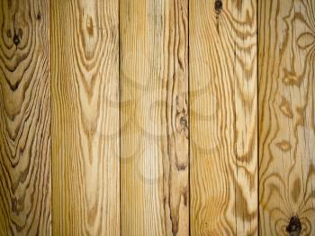 The pine log architecture natural abstract background