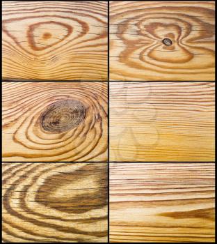The abstract wood decor texture, pine decoration set