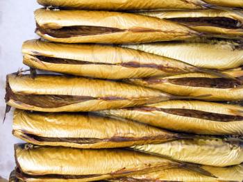 A pile of beautiful big mackerels on a counter