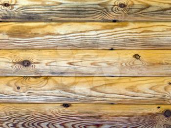 The pine log architecture natural abstract background