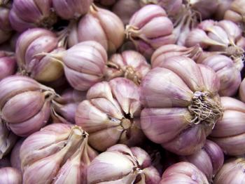 Agricultural background, a pile of beautiful garlic