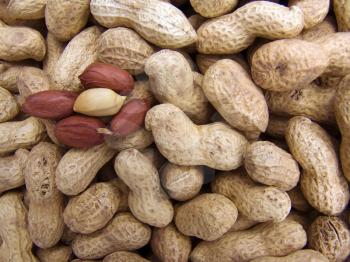 Agricultural background, a pile of beautiful cleared peanut