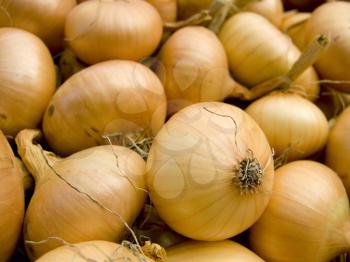 A pile of beautiful bulb onions on a counter