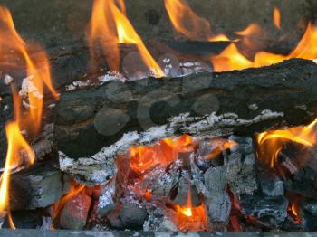 The log burns down on fire for barbecue preparation