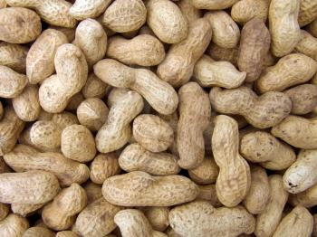 Agricultural background, a pile of beautiful peanut