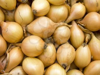 Agricultural background, a pile of beautiful bulb onions