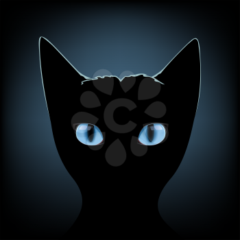 Silhouette of black cat with blue eyes on a dark background